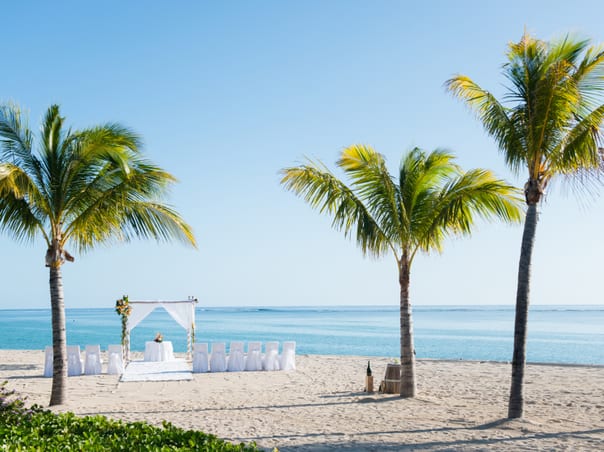 Wedding Light Package